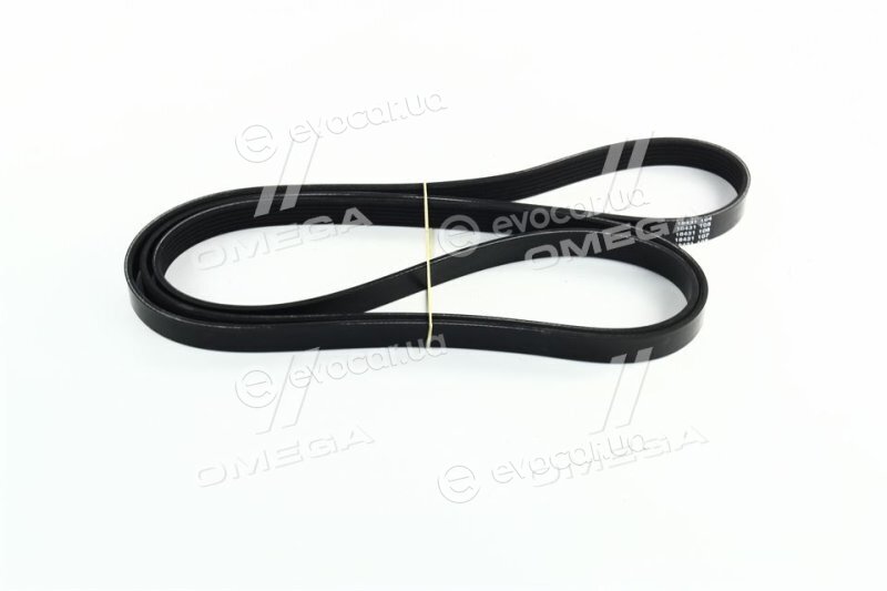 Dayco 6PK2185
