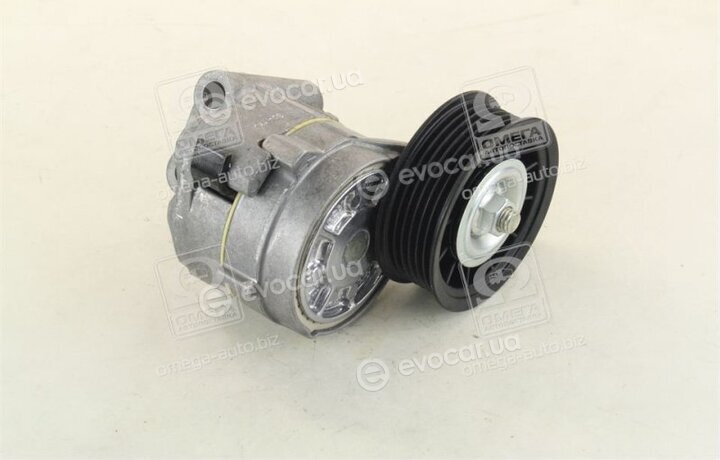 Dayco APV1021