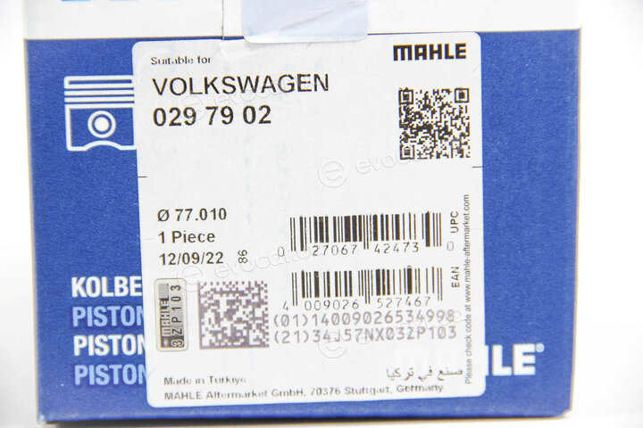 Mahle 029 79 02