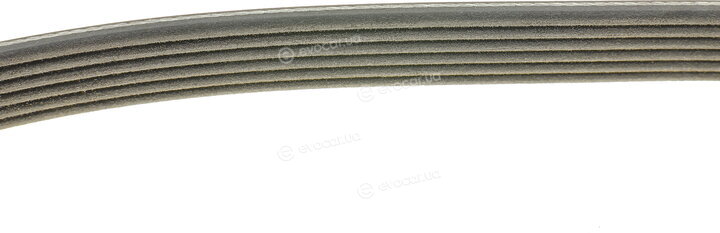 Dayco 6PK1660