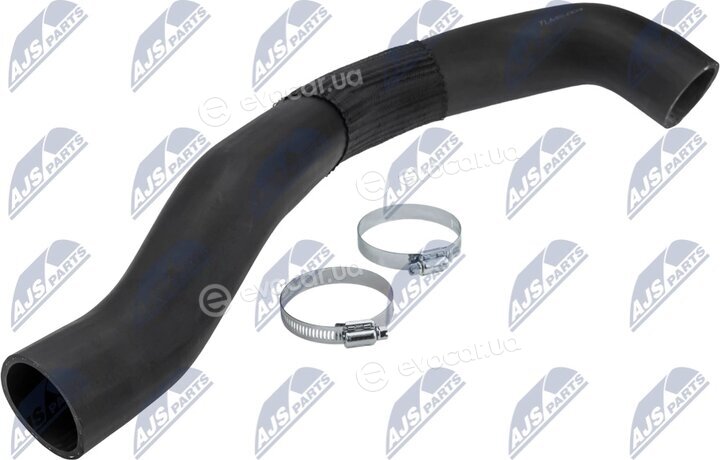 NTY GPP-MS-004