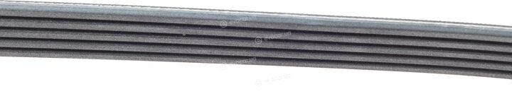 Continental 5PK1094