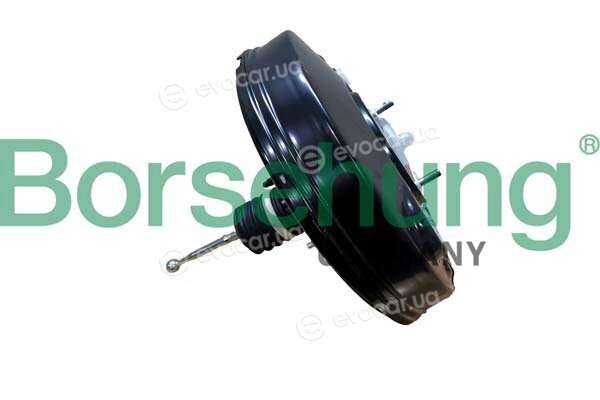 Borsehung B10711