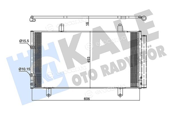 Kale 342605
