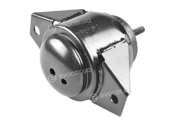 Tedgum TED68101