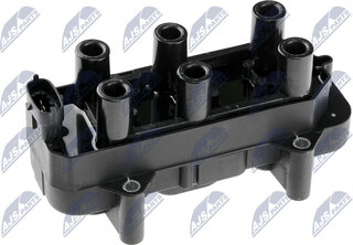 NTY ECZ-PL-011