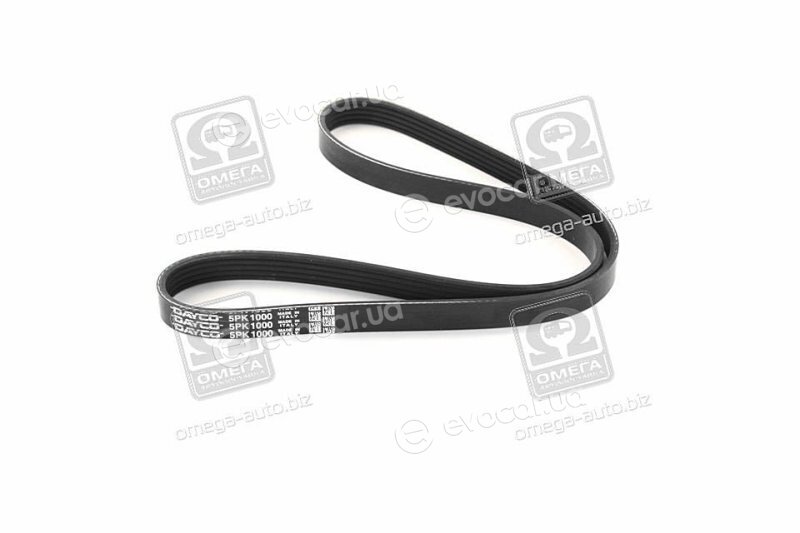 Dayco 5PK1000