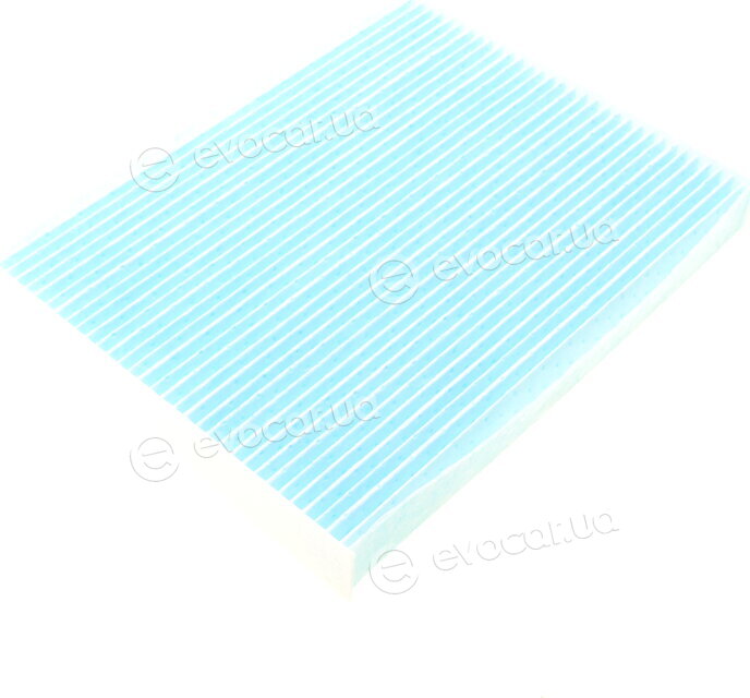 Blue Print ADG02588
