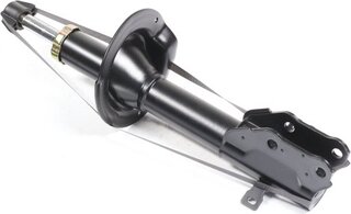 Sachs 317 307