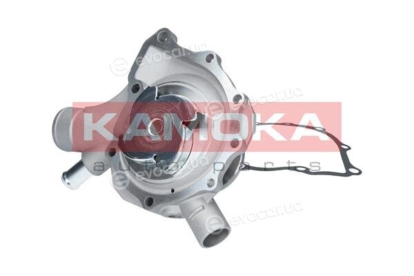 Kamoka T0189