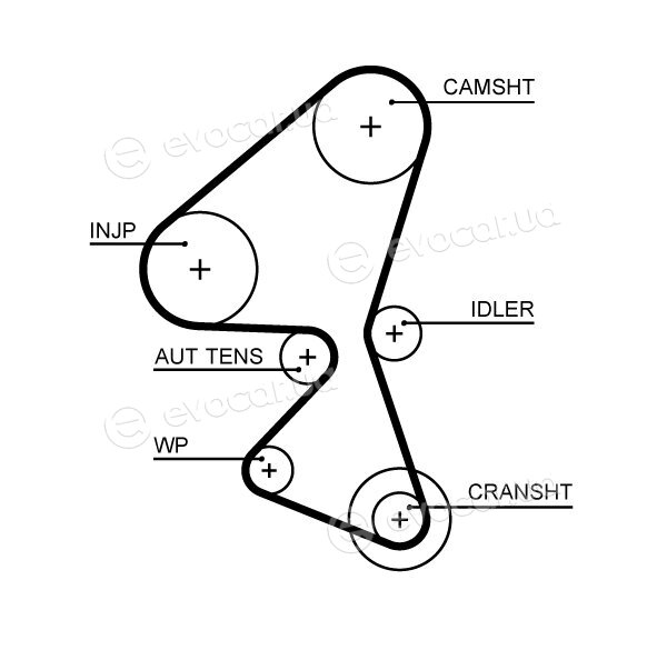 Gates K015656XS