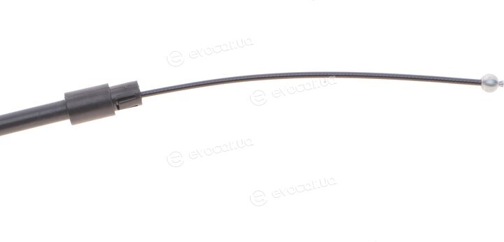 Solgy 219062