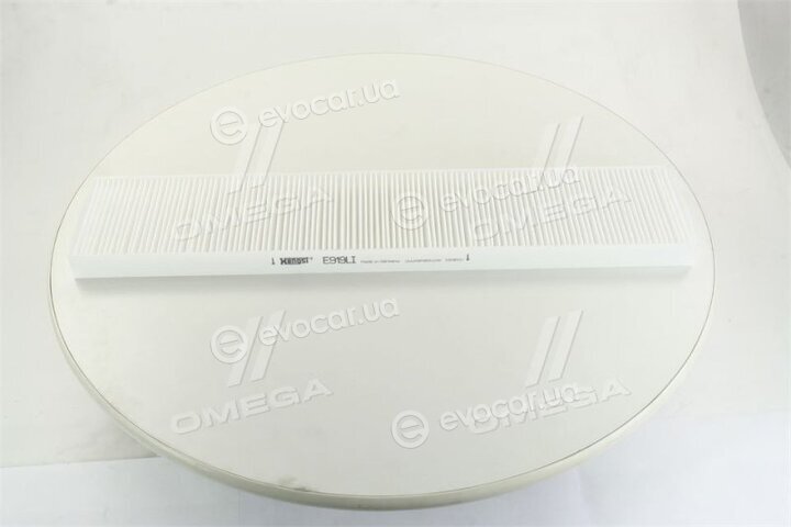 Hengst E919LI