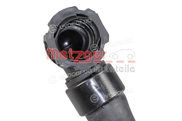 Metzger 2421458