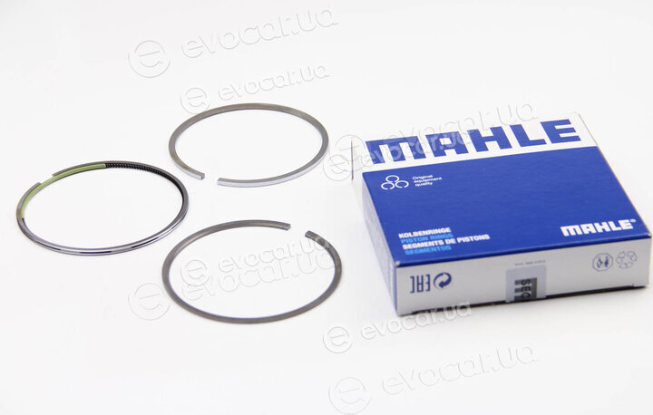 Mahle 001 36 N0