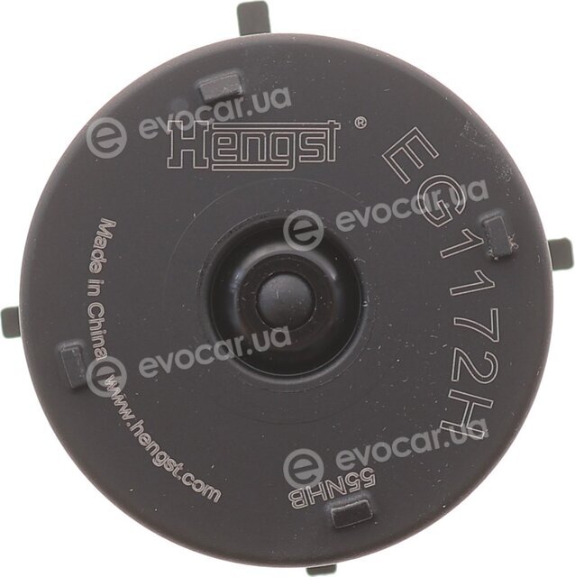 Hengst EG1172H D733