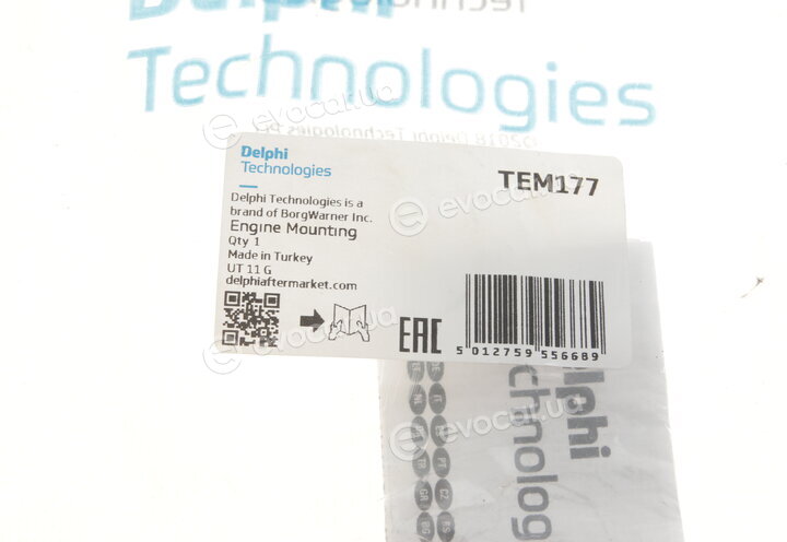 Delphi TEM177