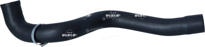 NRF 166225