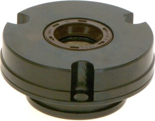 Bosch F 01M 101 217