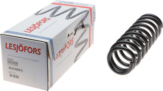 Lesjofors 4244227