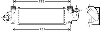 Starline A FDA 4438