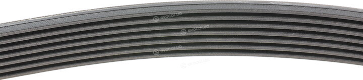 Continental 7PK1635