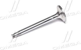 Gunes 3642