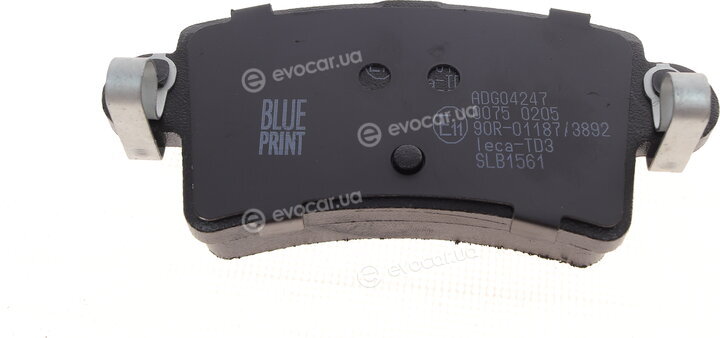 Blue Print ADG04247
