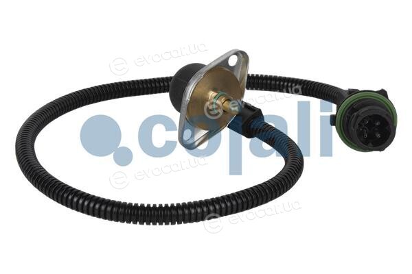 Cojali 2260253