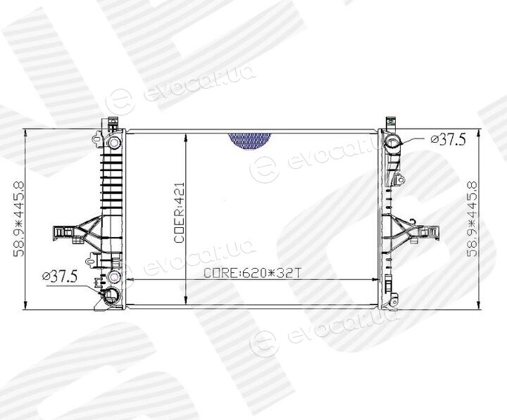 Signeda RA65557Q
