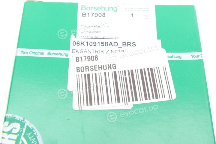 Borsehung B17908