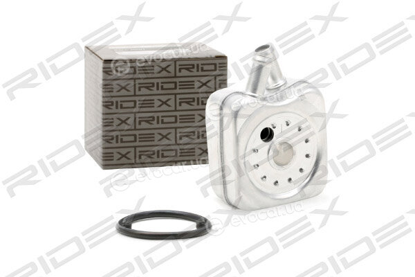 Ridex 469O0002
