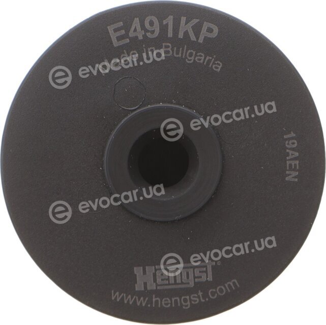 Hengst E491KP D489-2
