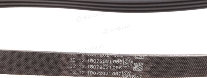 Continental 4PK917 ELAST