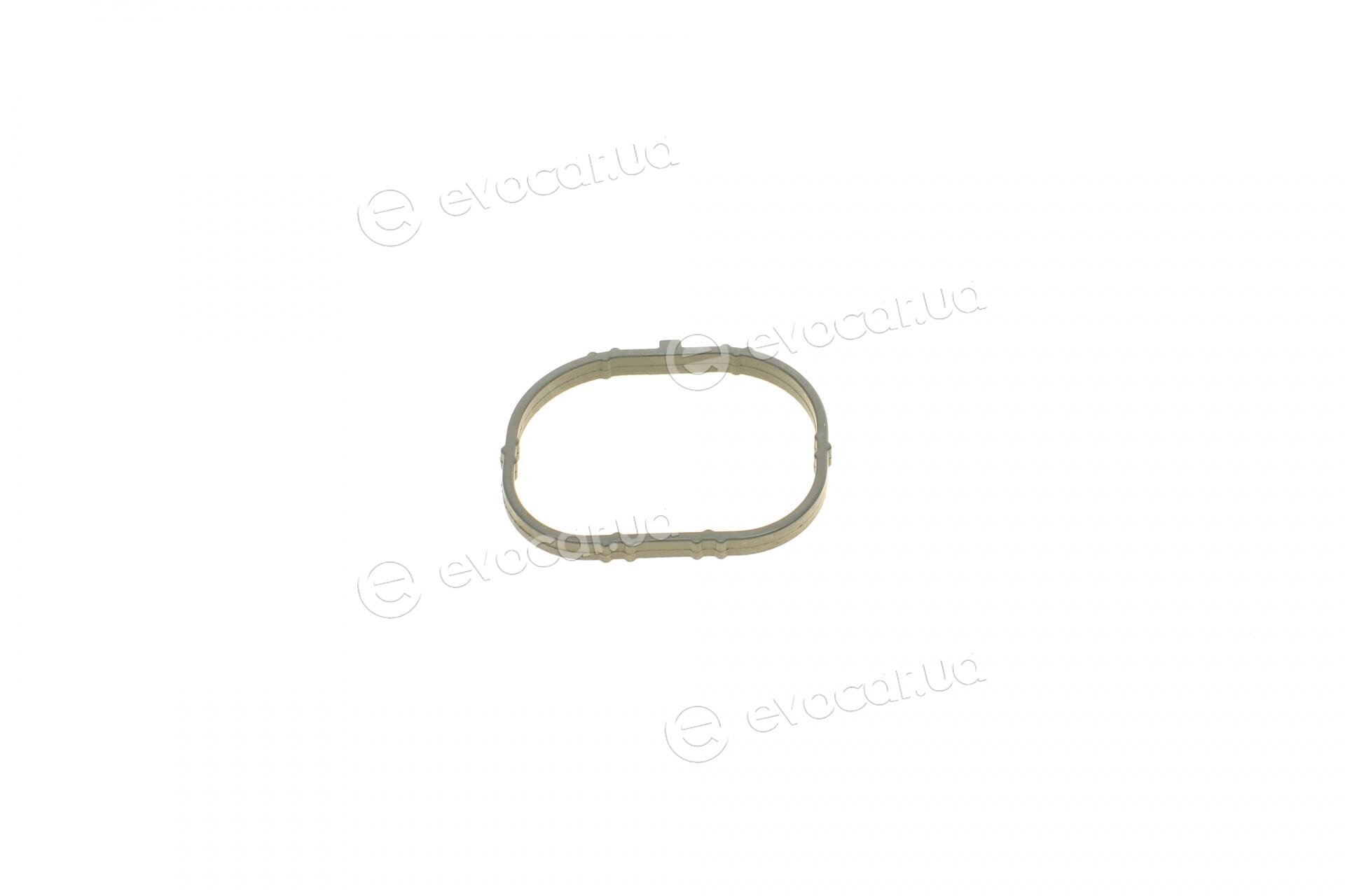 Corteco 450384P