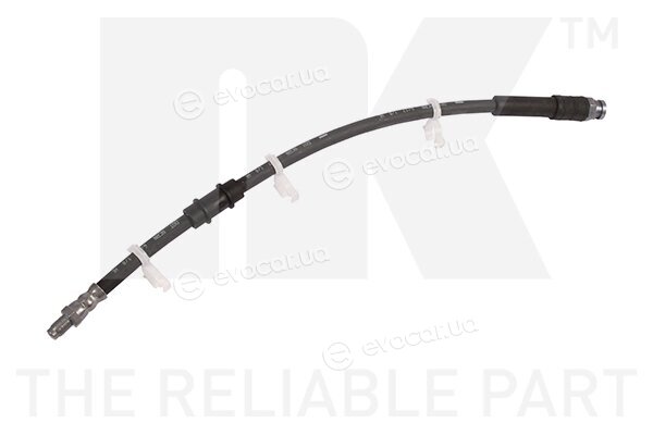NK 859933