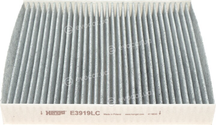 Hengst E3919LC