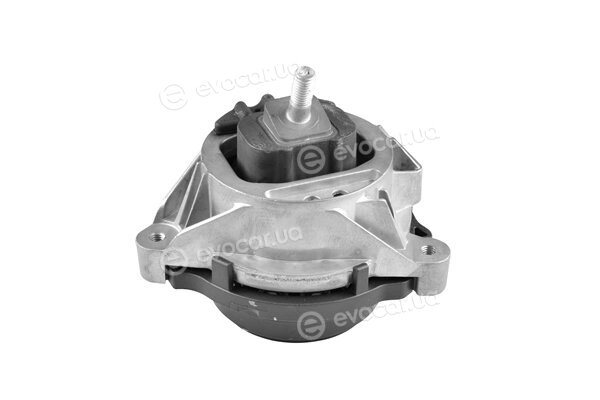 Tedgum TED98788