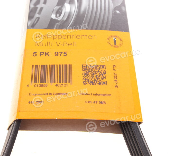 Continental 5PK975