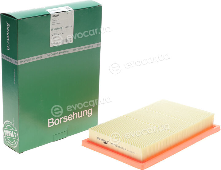 Borsehung B12399