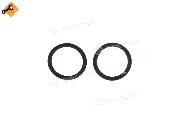 NRF 509529