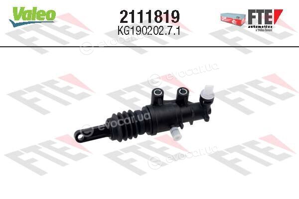 FTE 2111819