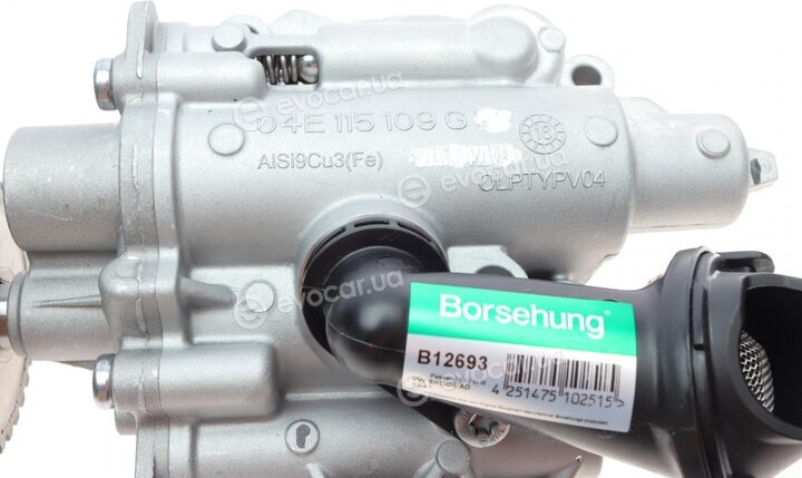 Borsehung B12693