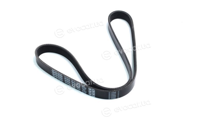 Dayco 6PK1025