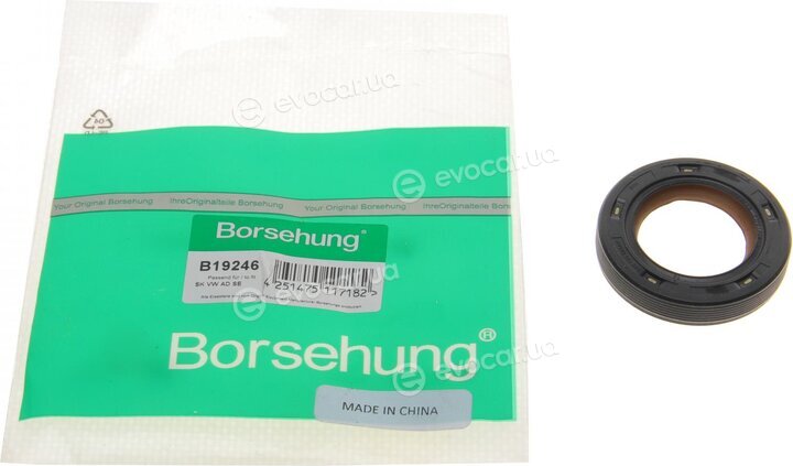 Borsehung B19246