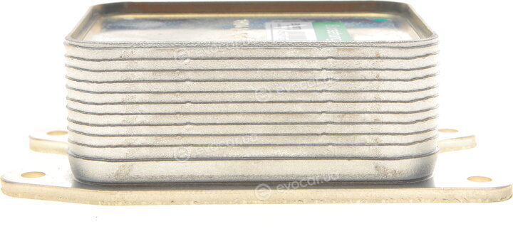 Borsehung B10878