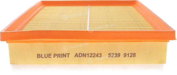 Blue Print ADN12243