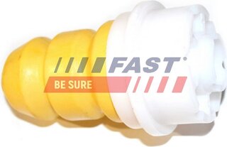 Fast FT12171