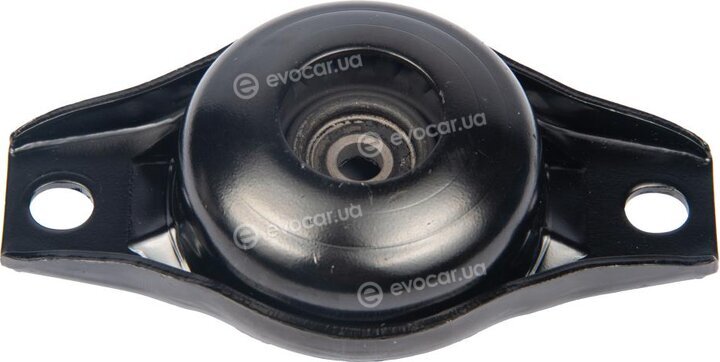 Raiso RC09909