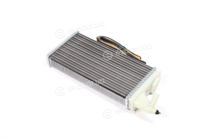 AVA IVA6019